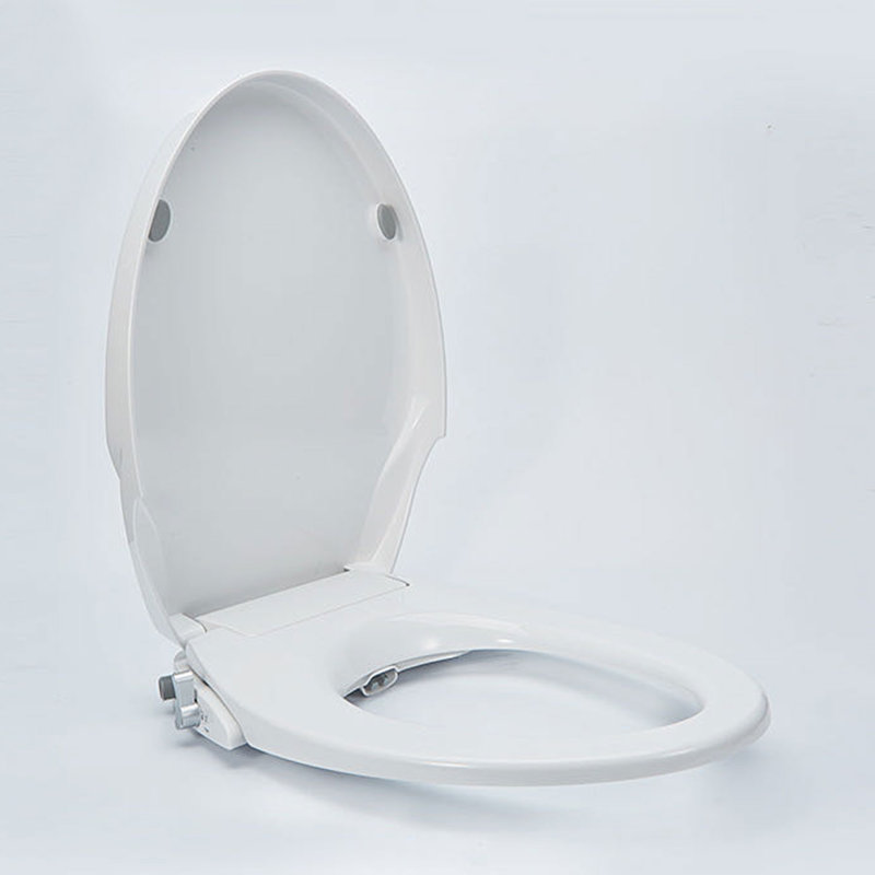 Empava NonElectric for V Shape Toilet Elongated Bidet Seat Wayfair